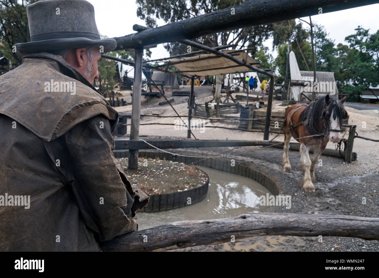 Un gold prospector guardando il suo cavallo tira un budino macchina a Sovereign Hill open-air-museo nel sobborgo di Ballarat nello stato di Victoria, Au Foto Stock