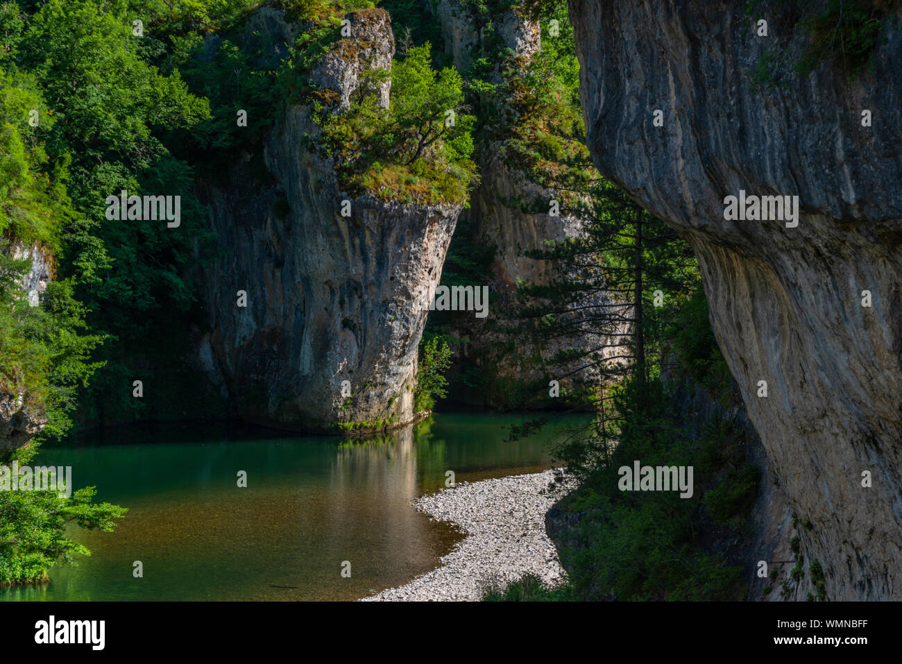 Il fiume Tarn e le gole del Tarn, Occitanie, Francia Foto Stock