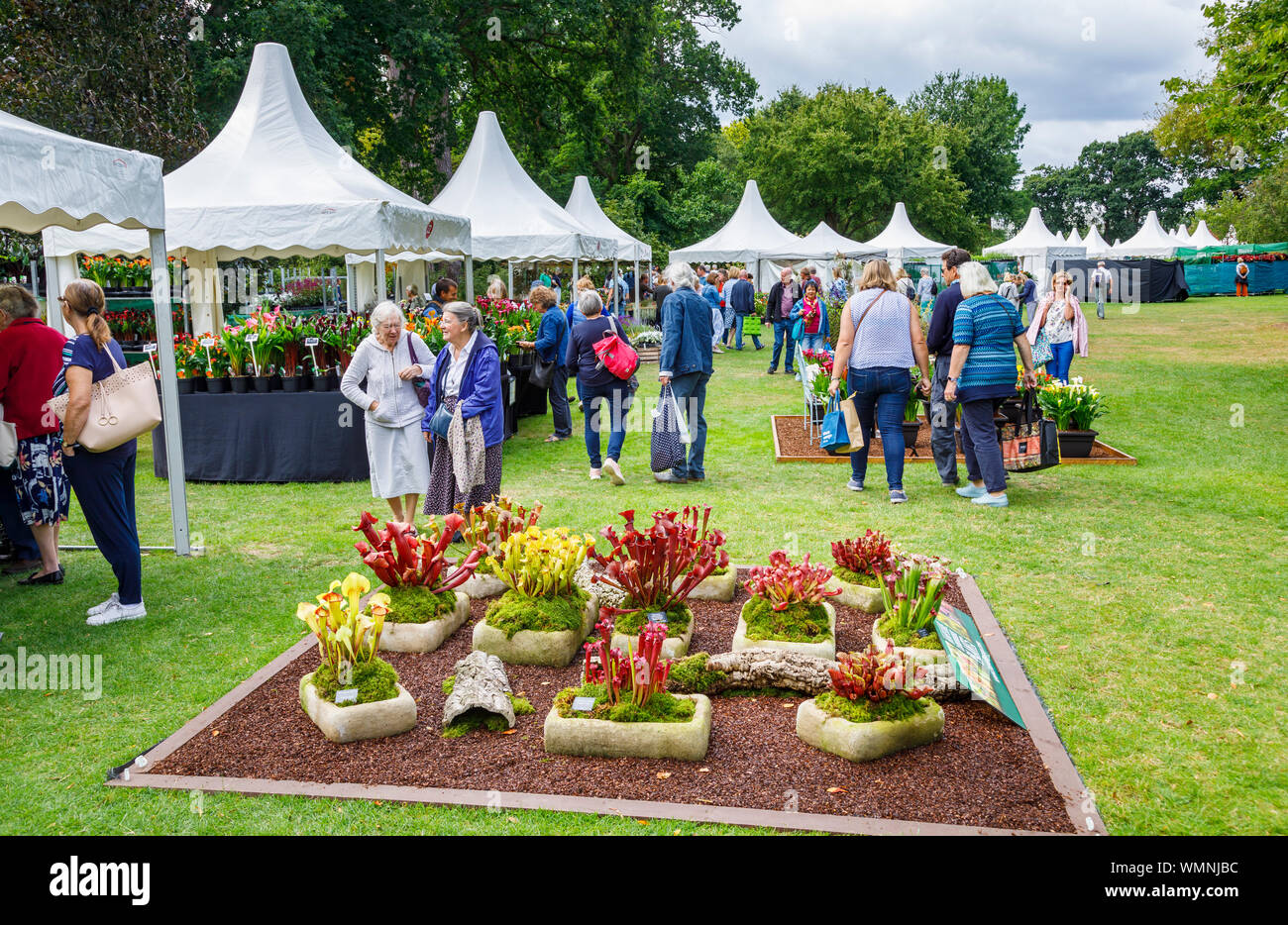 Visualizzazione delle piante carnivore al settembre 2019 Wisley Garden Flower Show al giardino RHS Wisley, Surrey, sud-est Inghilterra Foto Stock