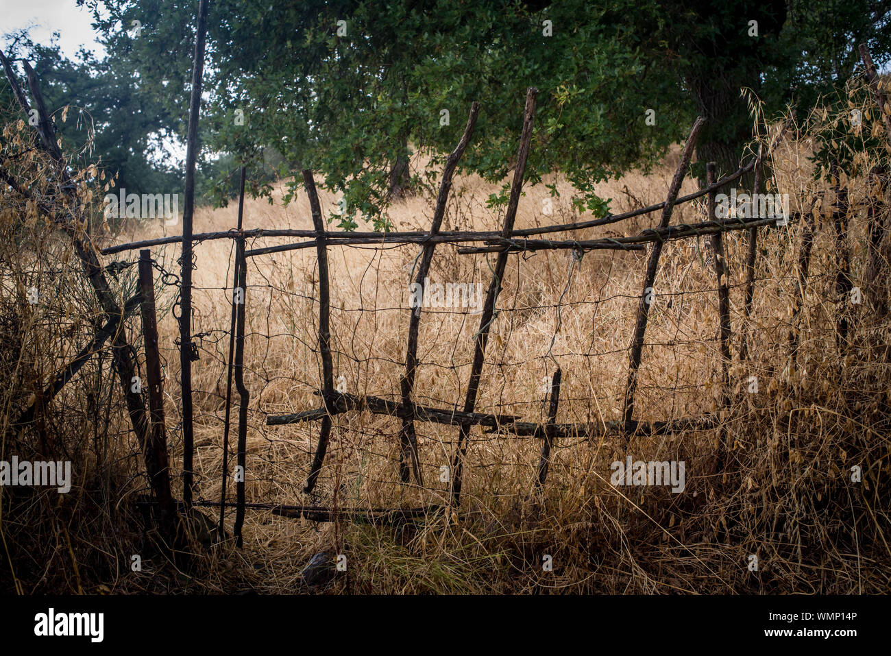 Rurale scena all'interno della Sardegna, Italia. Foto Stock