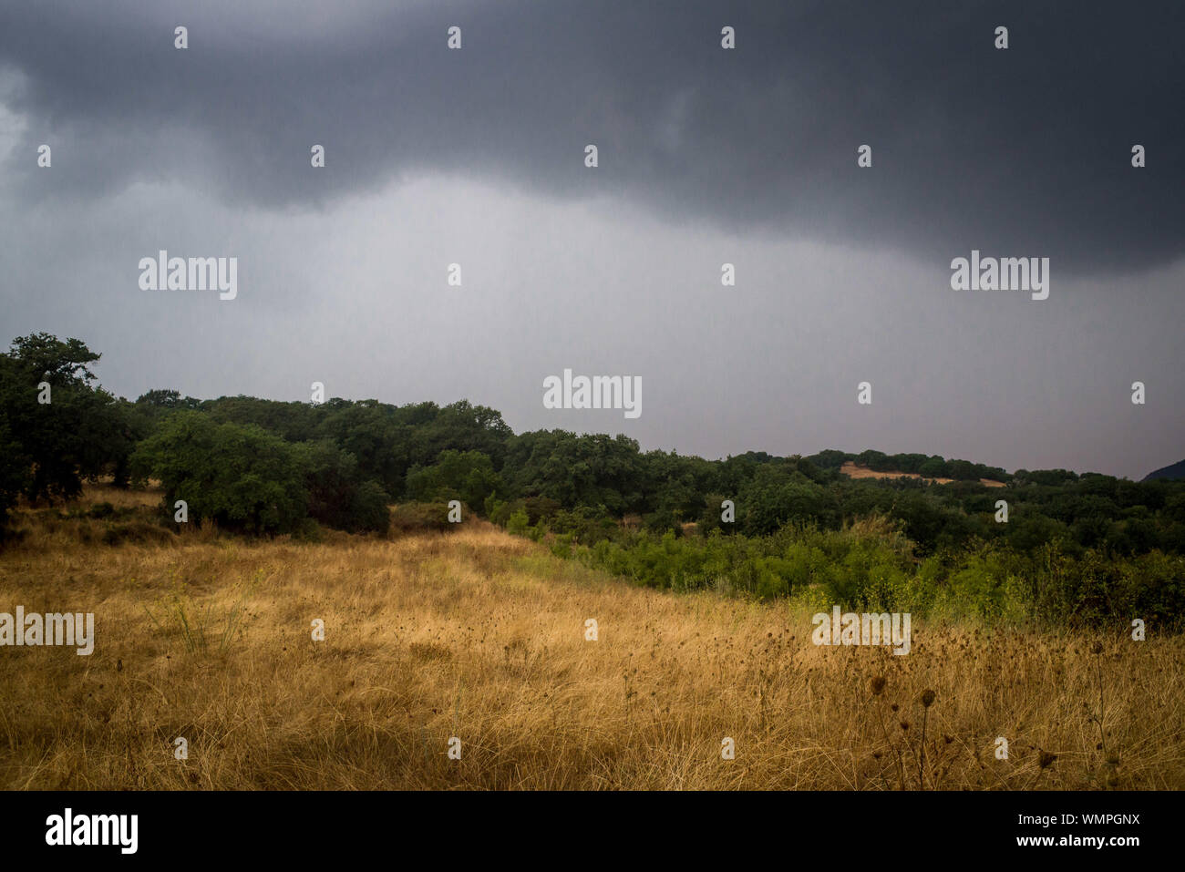 Bonnanaro, Sardegna, Italia. Il 22 agosto, 2019. Il paesaggio dell'interno della Sardegna, Italia. Credito: Jordi Boixareu/ZUMA filo/Alamy Live News Foto Stock