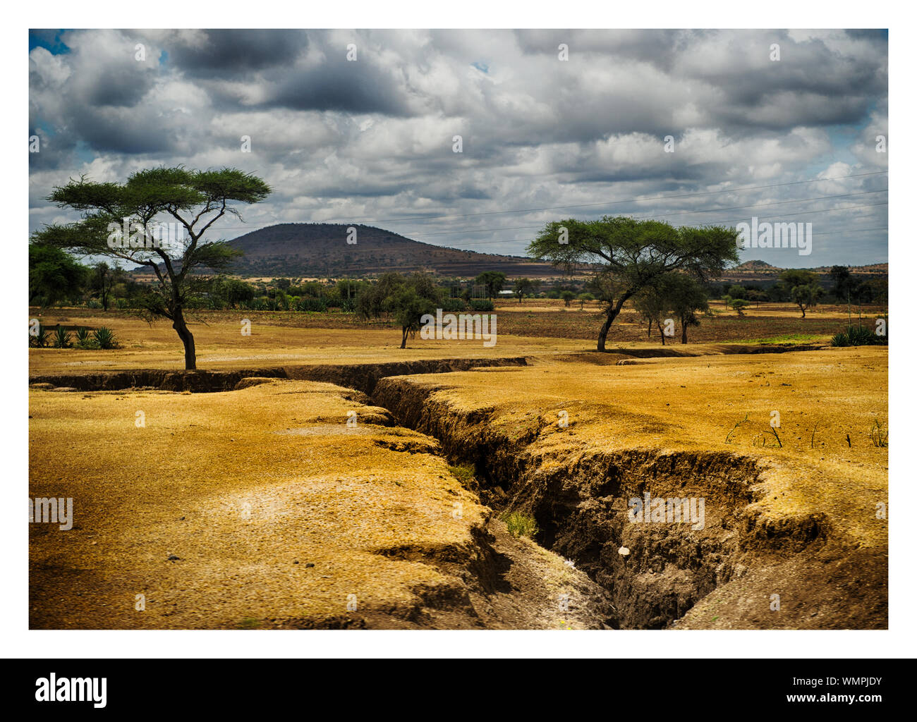 Belle stampe d'arte Tanzania. Foto Stock