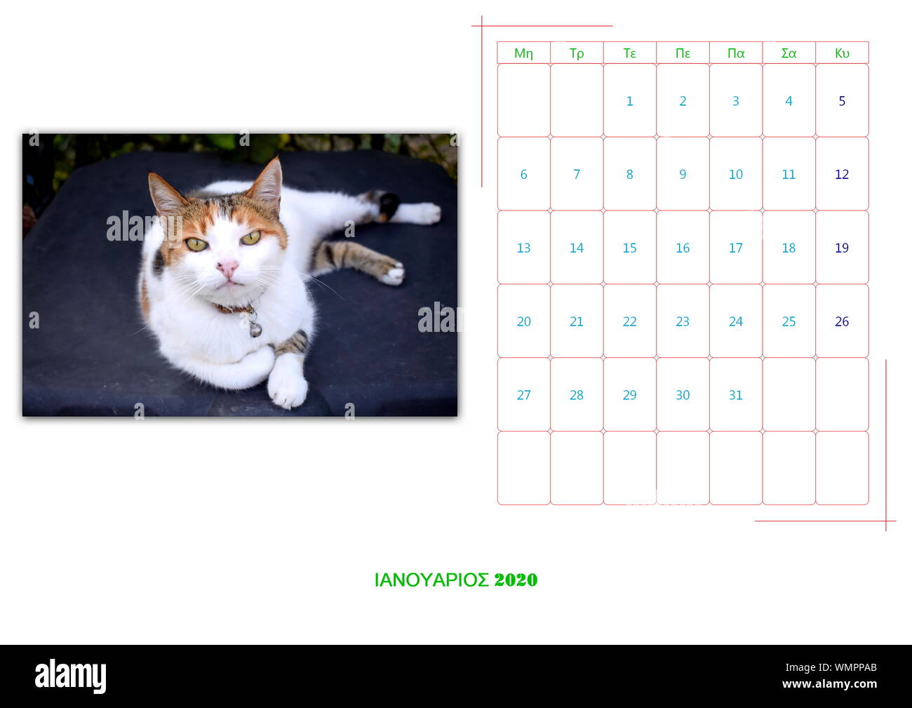 Calendario 2020 al mese con 12 foto di animali Foto Stock