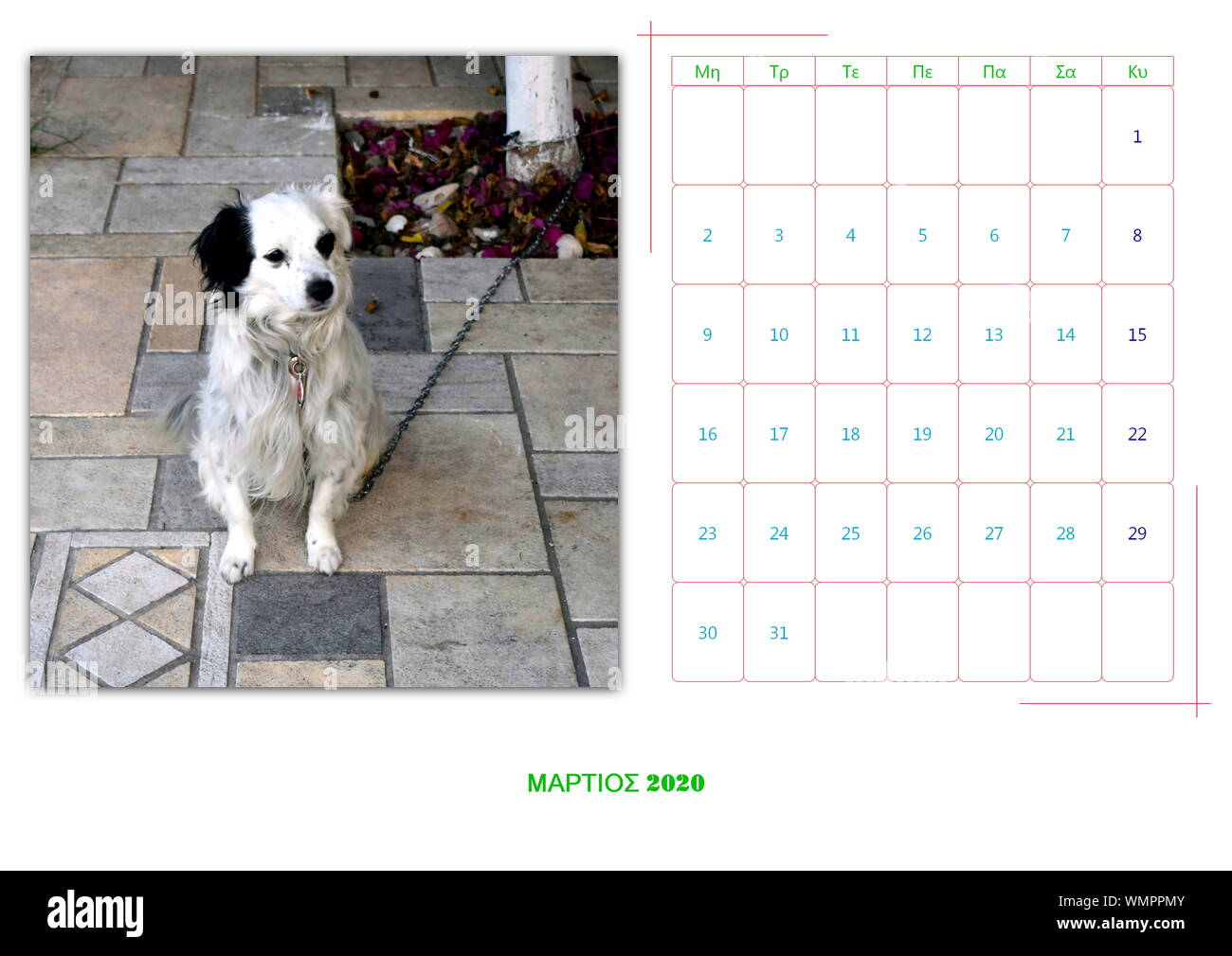 Calendario 2020 al mese con 12 foto di animali Foto Stock