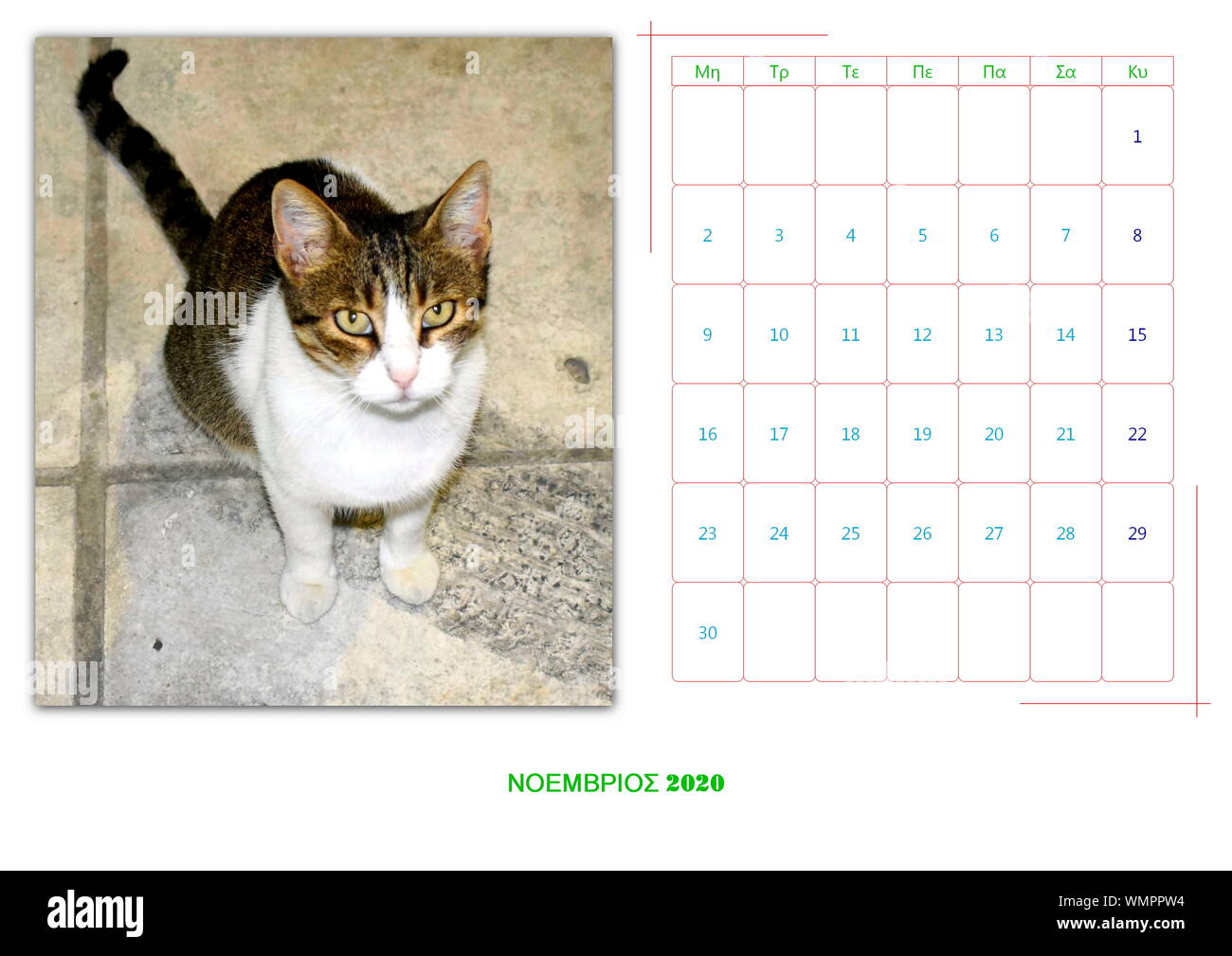 Calendario 2020 al mese con 12 foto di animali Foto Stock