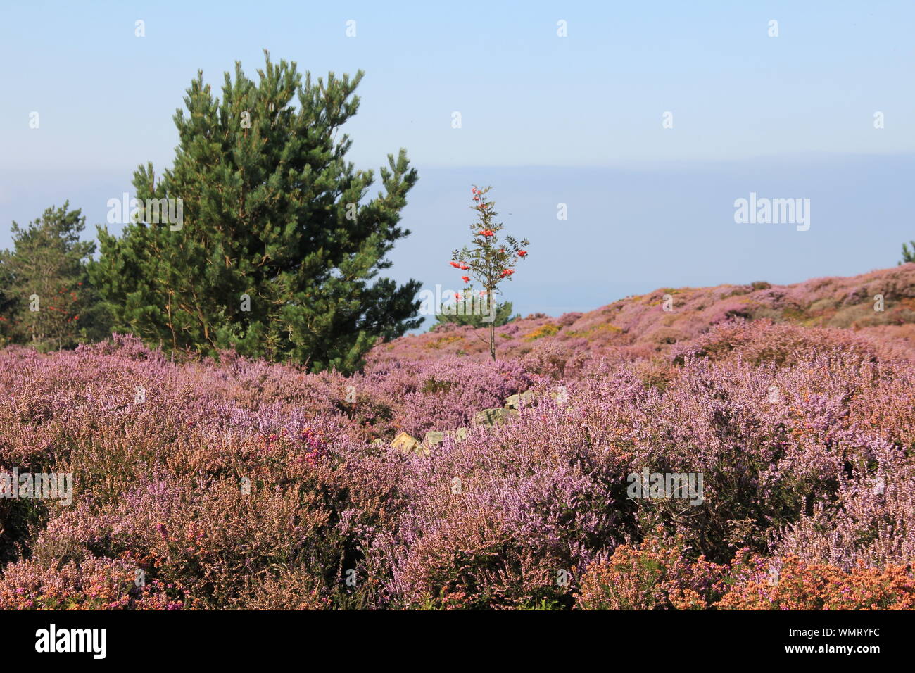 Penmaenmawr, il Galles del Nord. Regno Unito Foto Stock