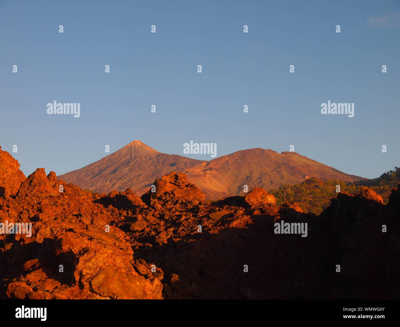 Vista sul Teide e Pico Viejo da Corona Forestal natura parco prima del tramonto (Tenerife, Isole Canarie, Spagna) Foto Stock