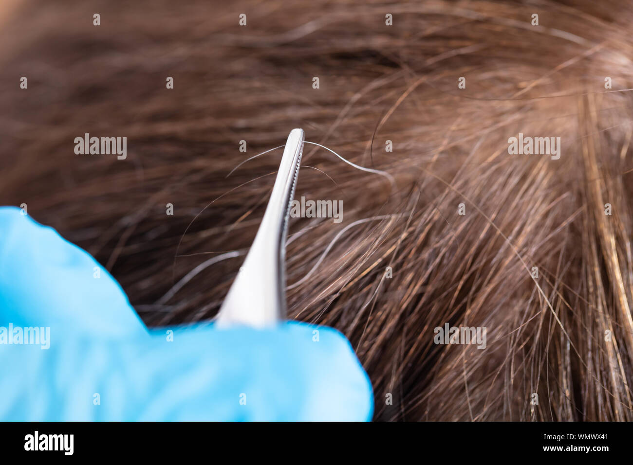 Close-up di spiumatura a mano i capelli grigi con le pinzette Foto Stock