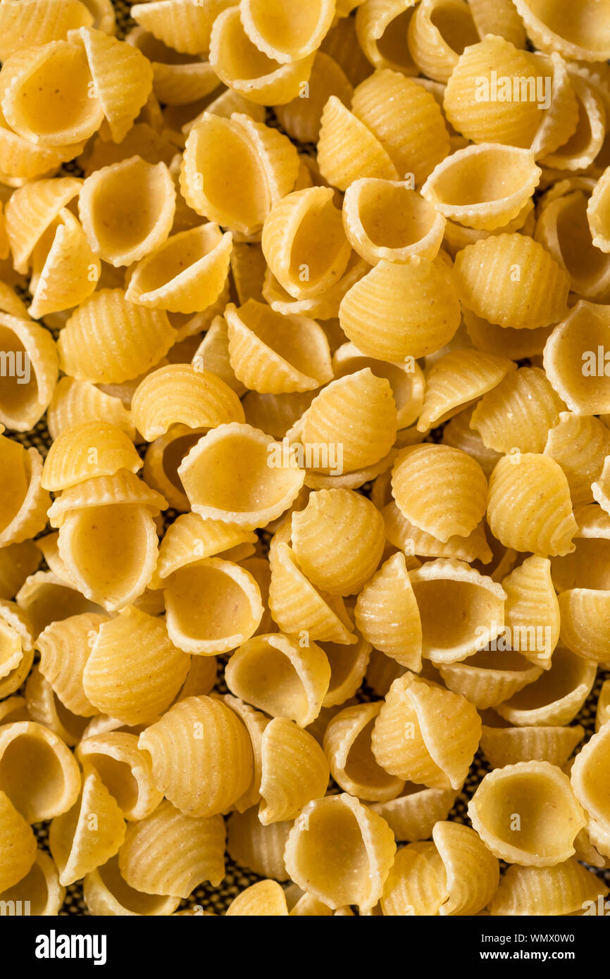Organico secco maccheroni gusci in una pila Foto Stock
