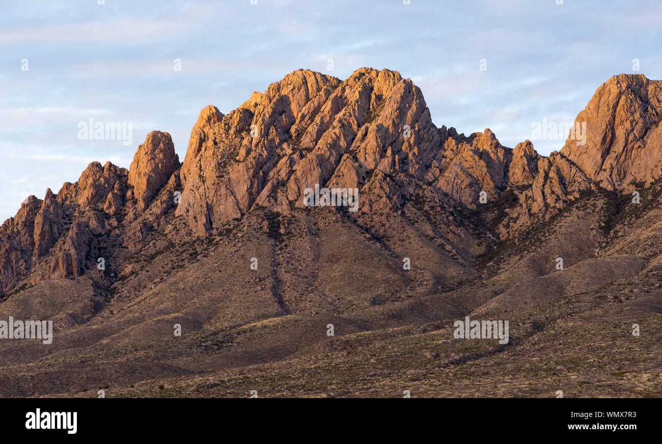 Montagne Organ deserto picchi monumento nazionale, Nuovo Messico. Foto Stock