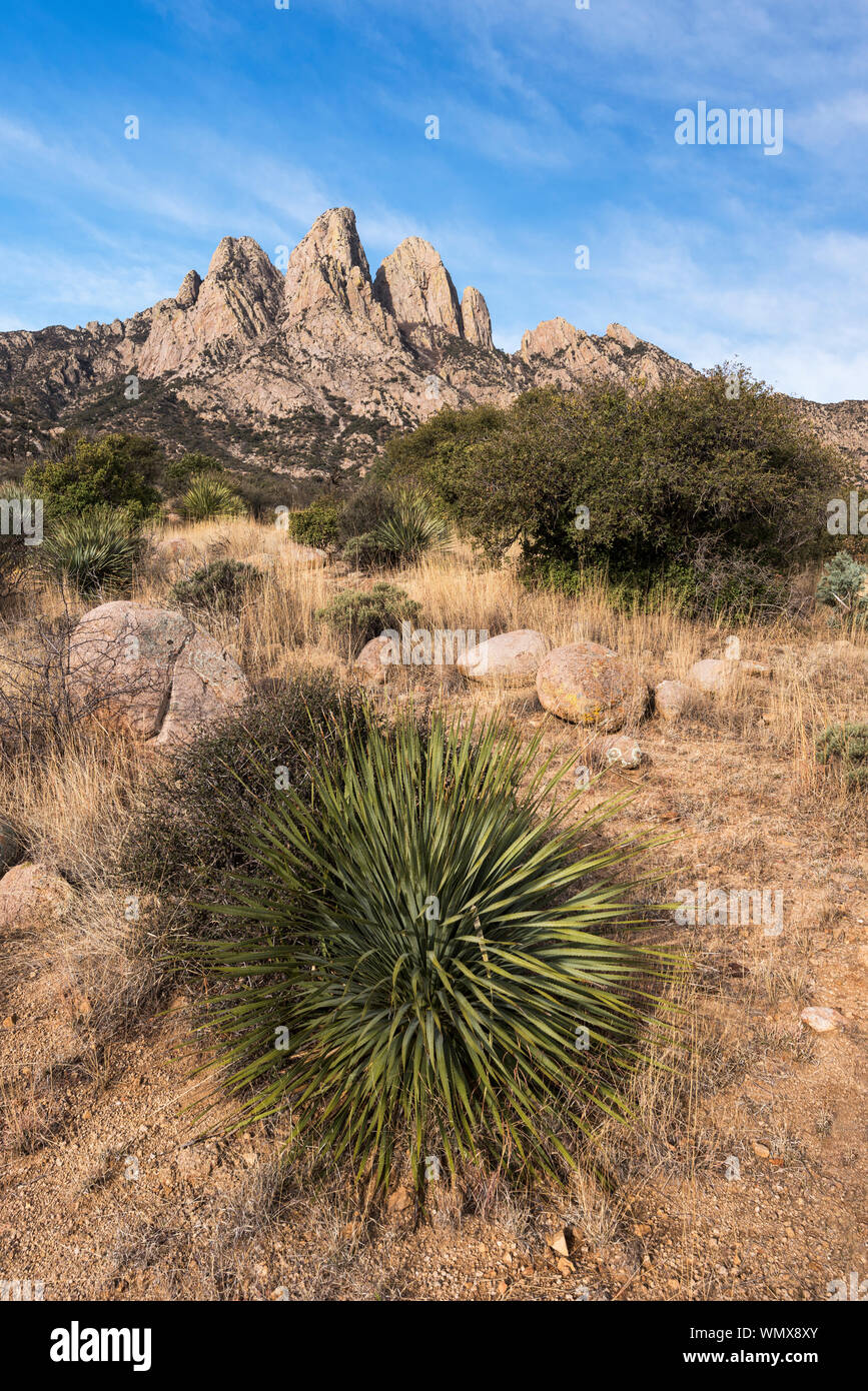 Montagne Organ deserto picchi monumento nazionale, Nuovo Messico. Foto Stock