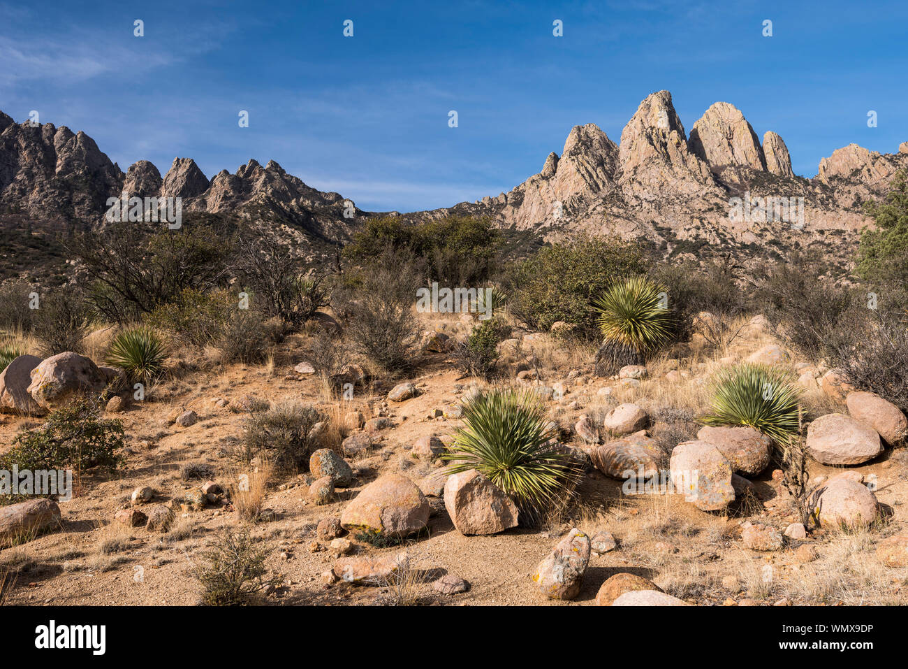 Montagne Organ deserto picchi monumento nazionale, Nuovo Messico. Foto Stock