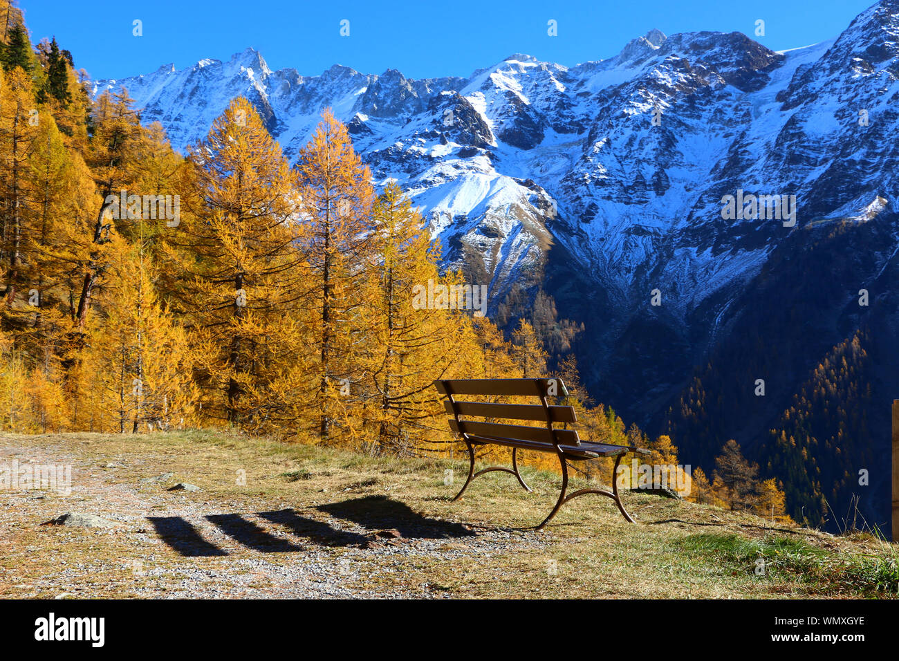 Larice e abete rosso di Bosco in autunno lungo walkingtrails a fafleralp, Lötschental, Alpi del Vallese, siwtzerland Foto Stock