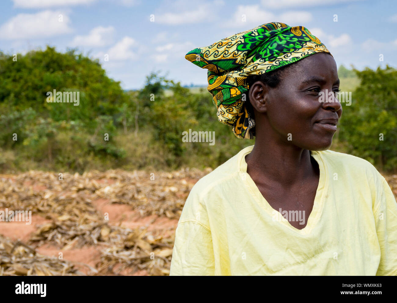 Ravvicinata di un agricoltore femmina, in piedi in agricoltura conservativa campo in Malawi Foto Stock
