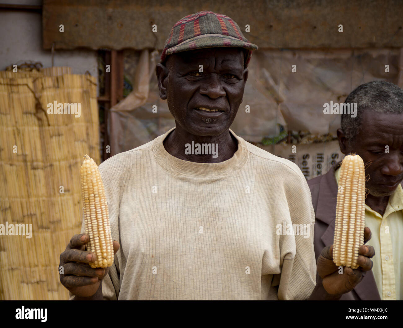 L'uomo agricoltore in Malawi contiene grandi quantità di sano le pannocchie di mais - un risultato di ONG Tiyeni agricoltura conservativa adozione. Foto Stock