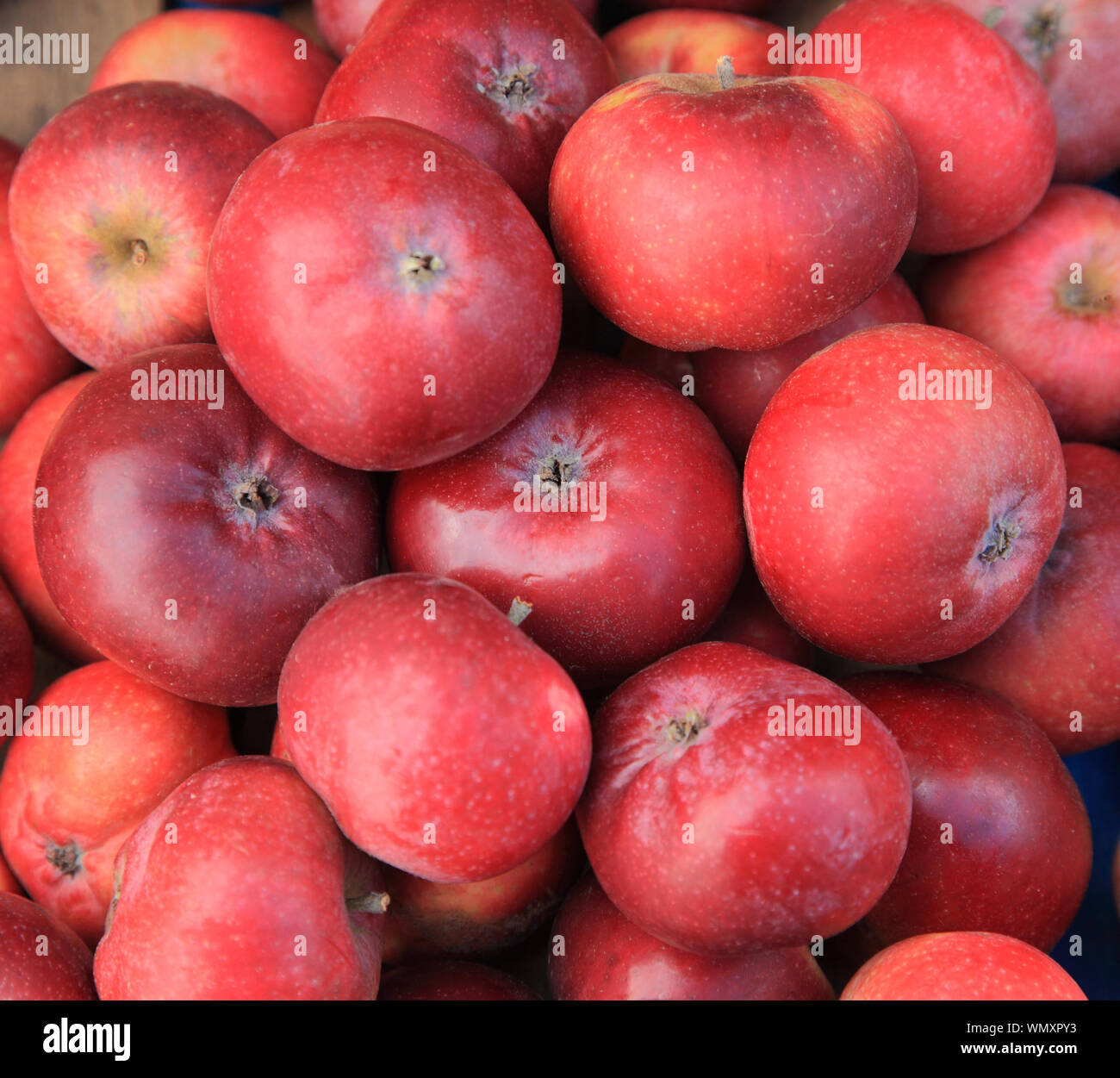 Apple 'Ingalls Red', mele, Suffolk varietà, mangiare apple, farm shop display Foto Stock