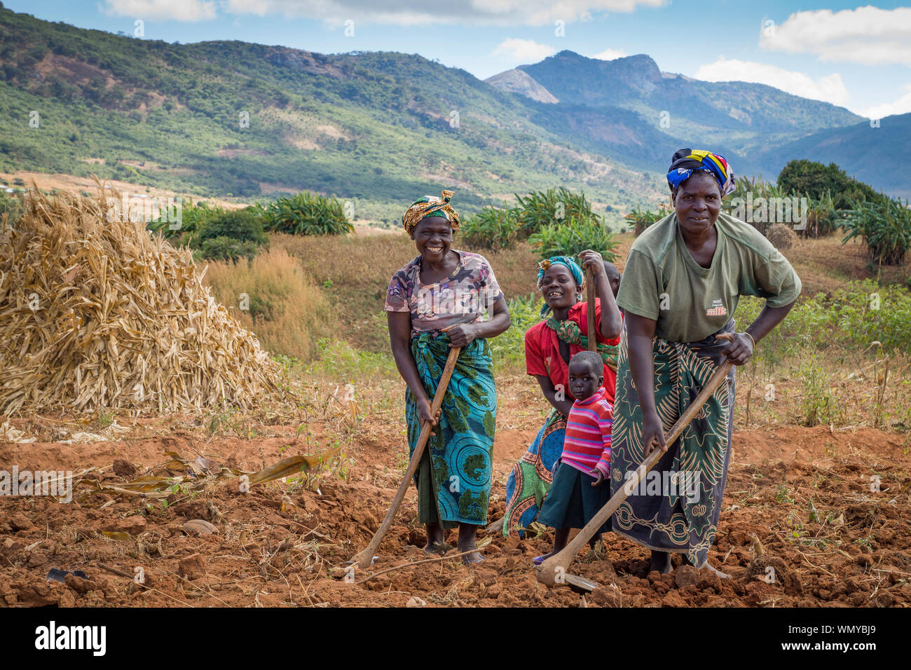 Agricoltrici dimostrare la preparazione di terra e agricoltura sostenibile nel quartiere Mzimba, Malawi Foto Stock
