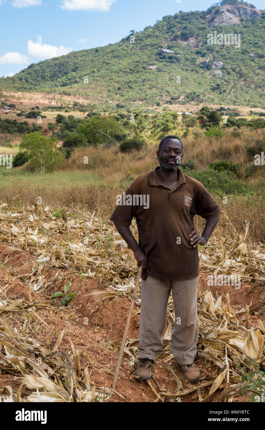L'agricoltore maschio nel suo campo di mais nel quartiere Mzimba, Malawi Foto Stock