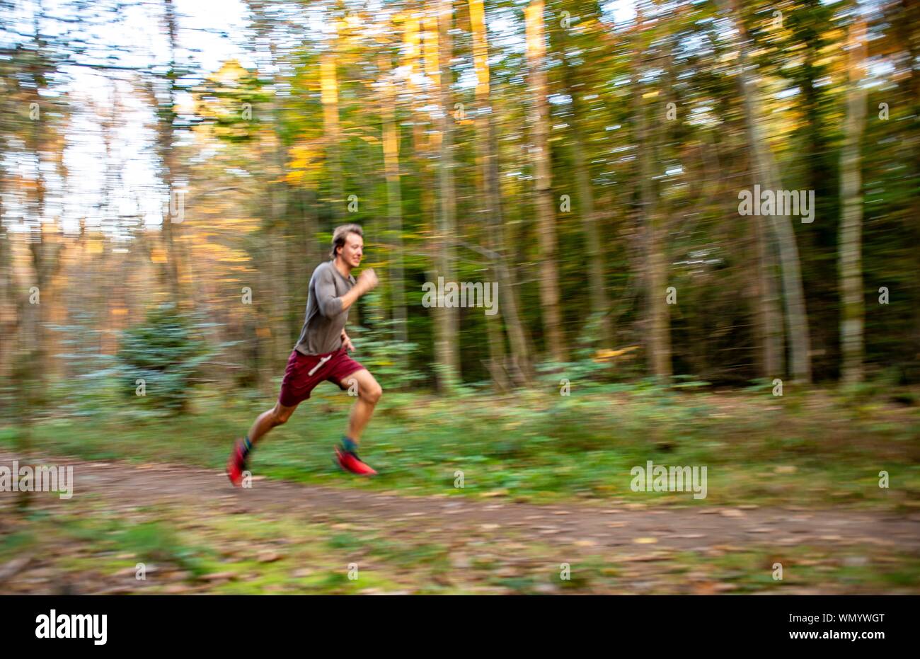 Giovane uomo jogging nella foresta autunnale, estrattore, Perlacher Forst, Monaco di Baviera, Baviera, Baviera, Germania Foto Stock