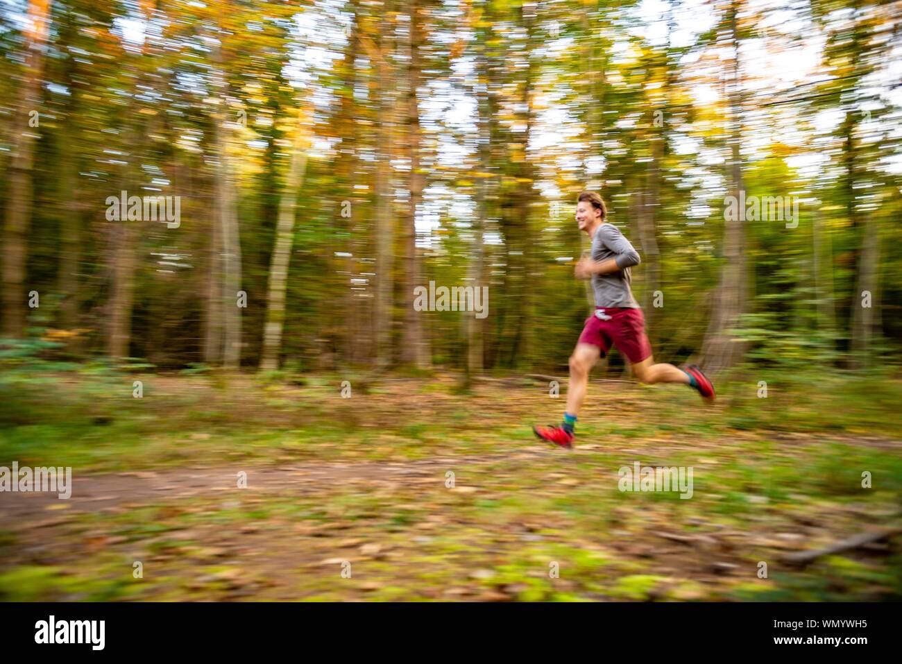 Giovane uomo jogging nella foresta autunnale, estrattore, Perlacher Forst, Monaco di Baviera, Baviera, Baviera, Germania Foto Stock