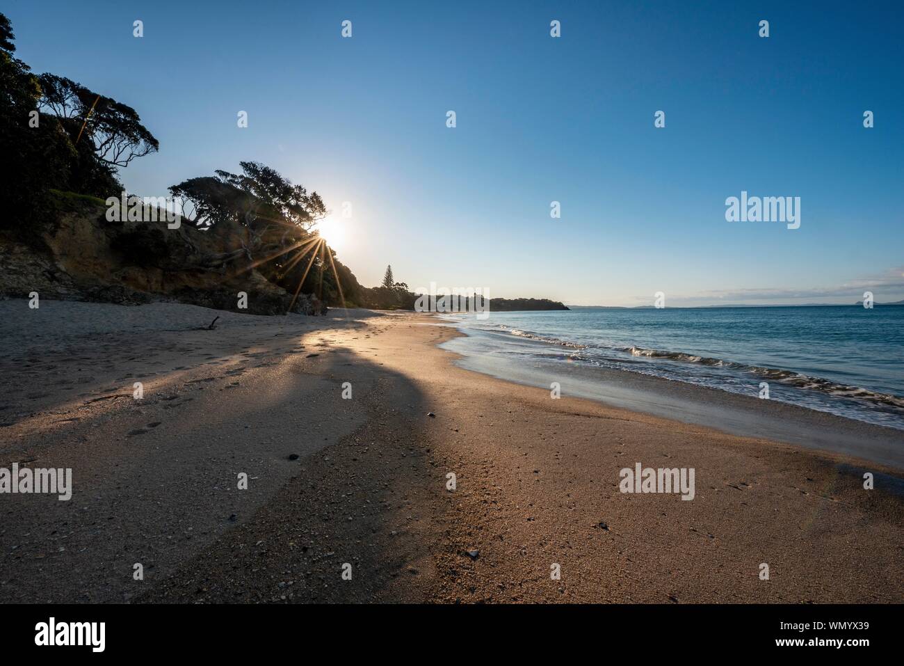 Raggi di sole risplendere attraverso gli alberi sulla spiaggia sabbiosa, luce della sera, Langs Beach, vicino a Mangawhai Testa, Northland e Nuova Zelanda Foto Stock