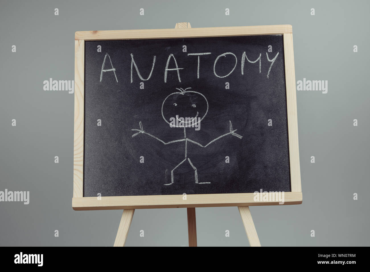 Anatomia parola scritta sulla lavagna e sfondo grigio Foto Stock