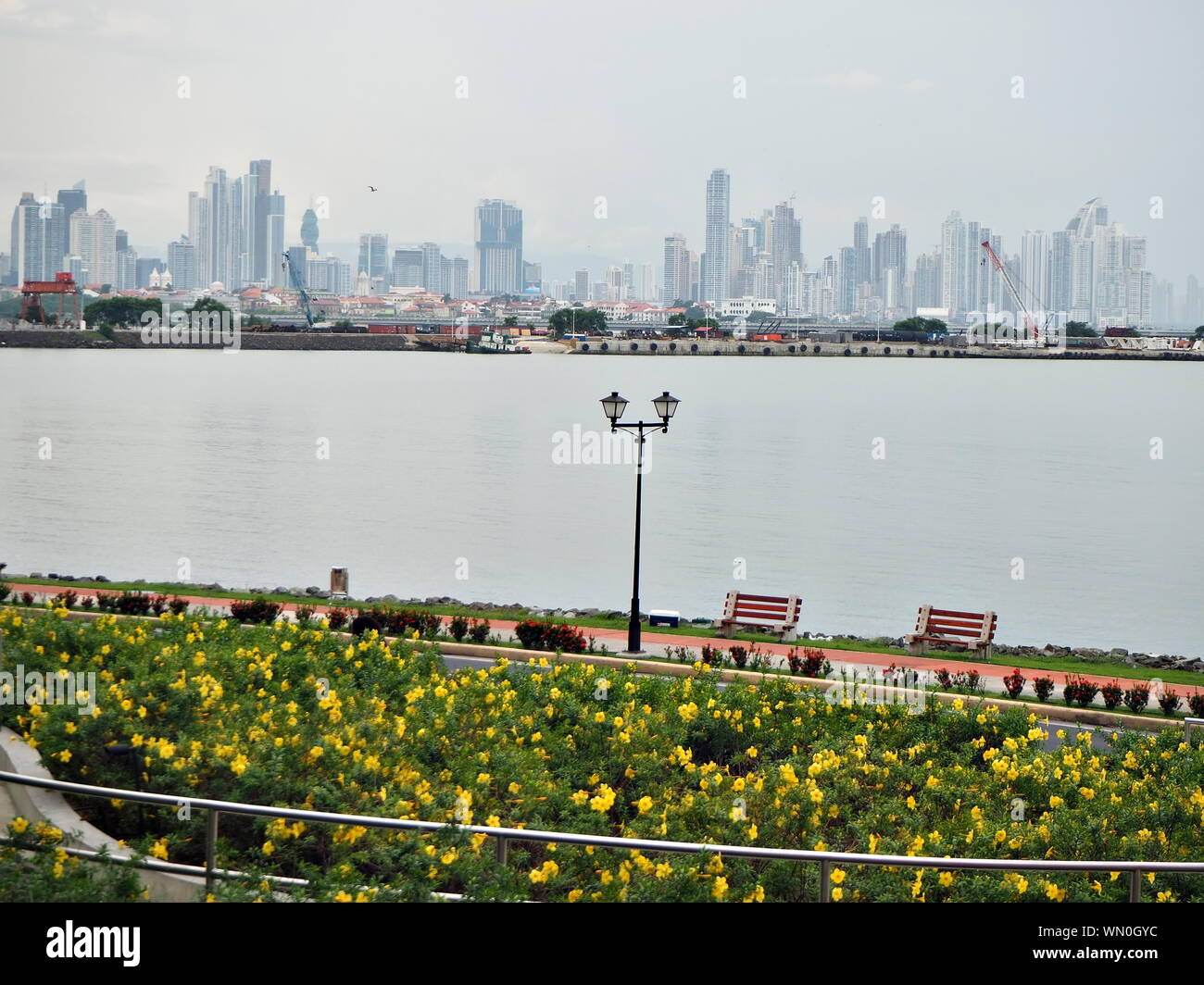 Panama City, Panama America Centrale Foto Stock