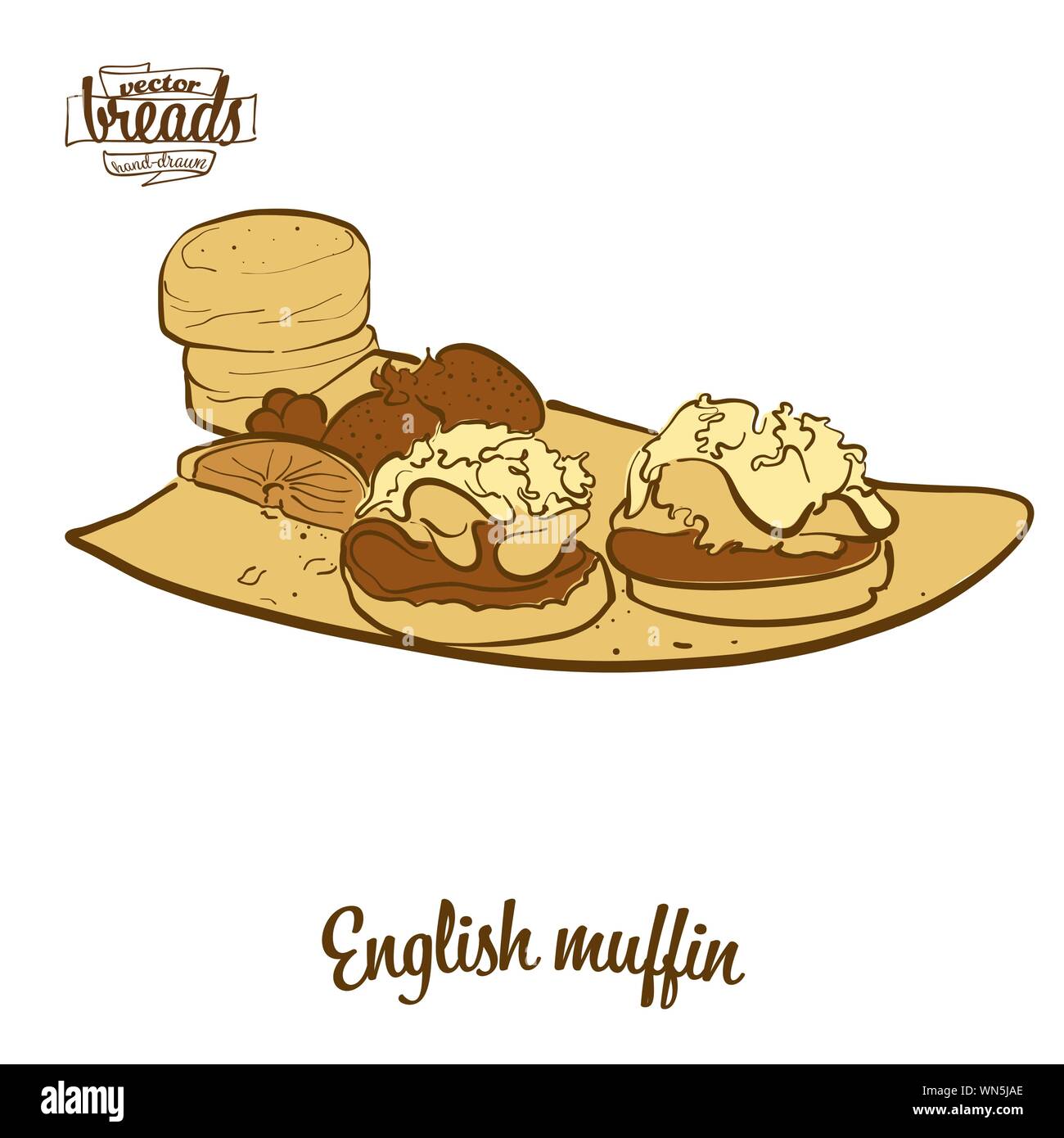 Disegno colorato di muffin inglese il pane. Illustrazione Vettoriale di pane di lievito alimentare, usualmente noto nel Regno Unito. Pane colorato schizzi. Illustrazione Vettoriale
