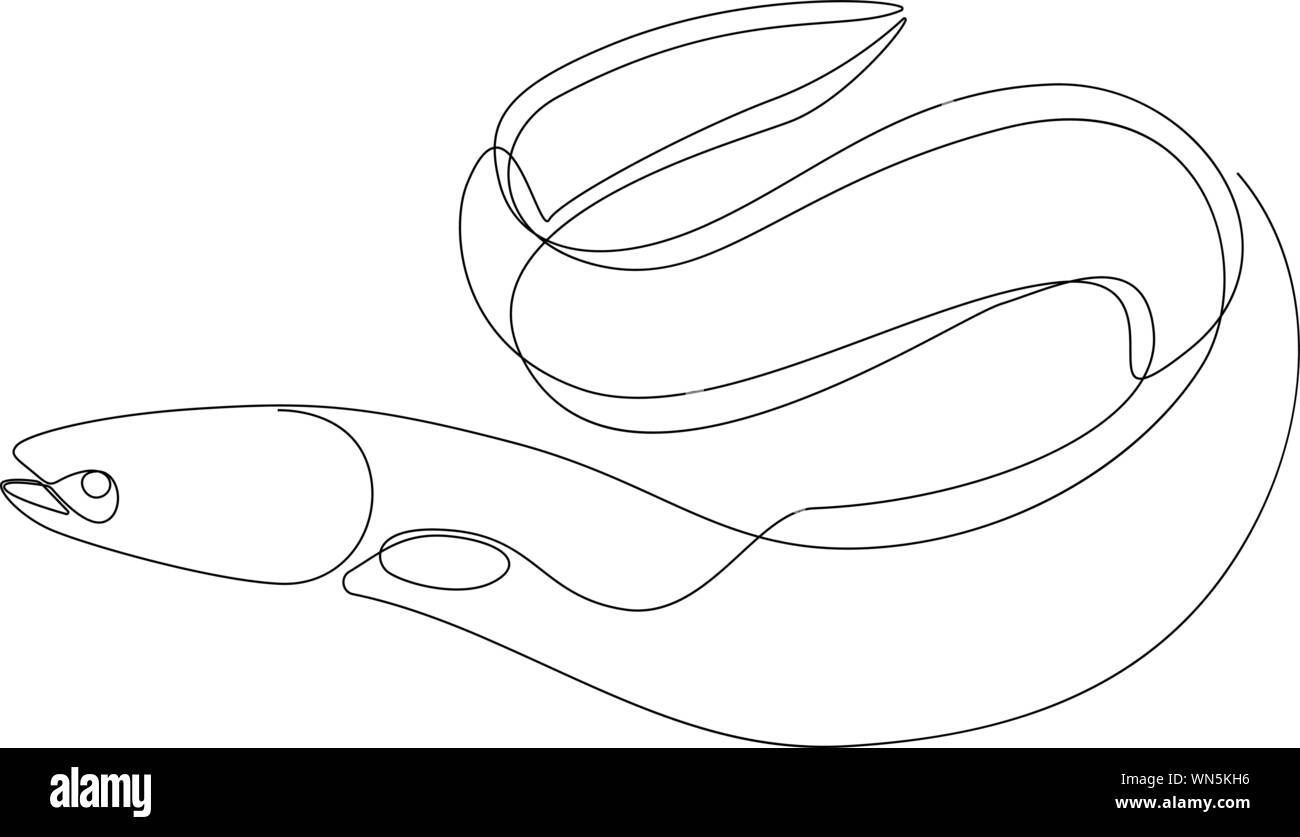 Anguilla Illustrazione disegnata da una linea. Stile minimalista illustrazione vettoriale Illustrazione Vettoriale