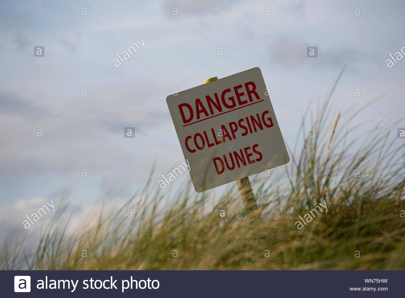 Un segno avverte del pericolo di collasso dune vicino a Rosses Point Sligo Foto Stock