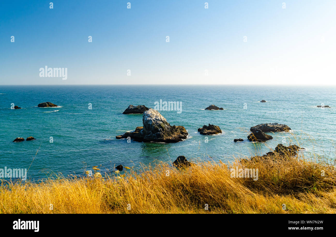 Pacific Ocean View dalla vettura in SF Bay Area, luce naturale con vista sull'oceano, paesaggio, Highway 1, Pacific Coast Foto Stock