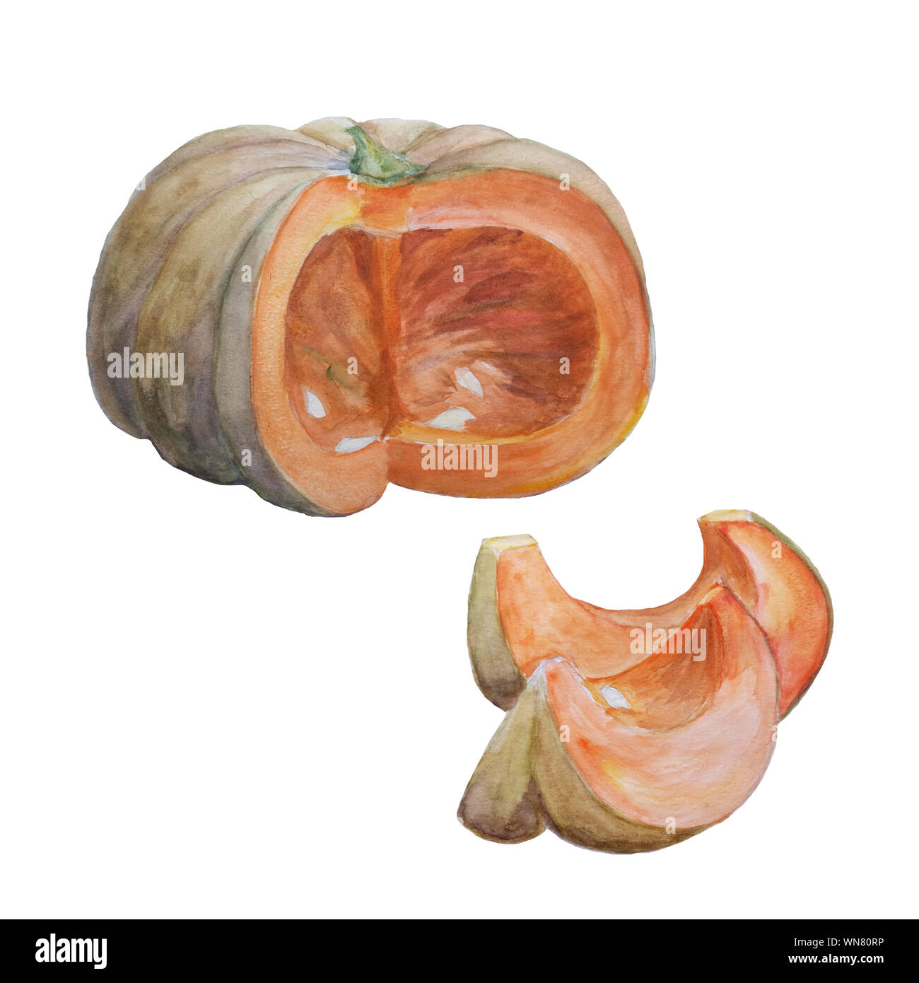 Acquerelli astratti tagliare la zucca con fette isolati su sfondo bianco, dipinta a mano autunno illustrazione per Halloween, thatksgiving o autunno har Foto Stock