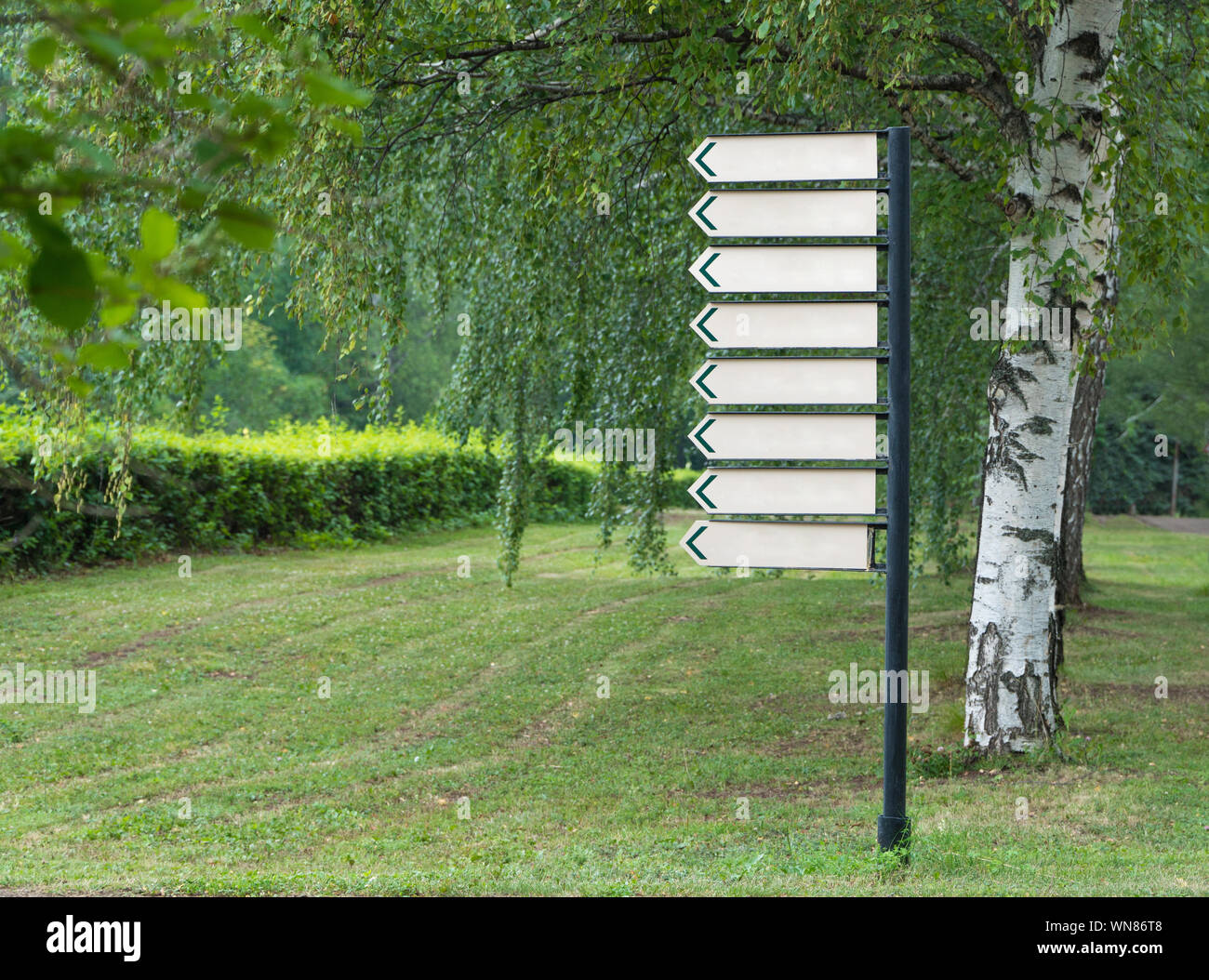 Segno bianco nel parco su uno sfondo di alberi Foto Stock