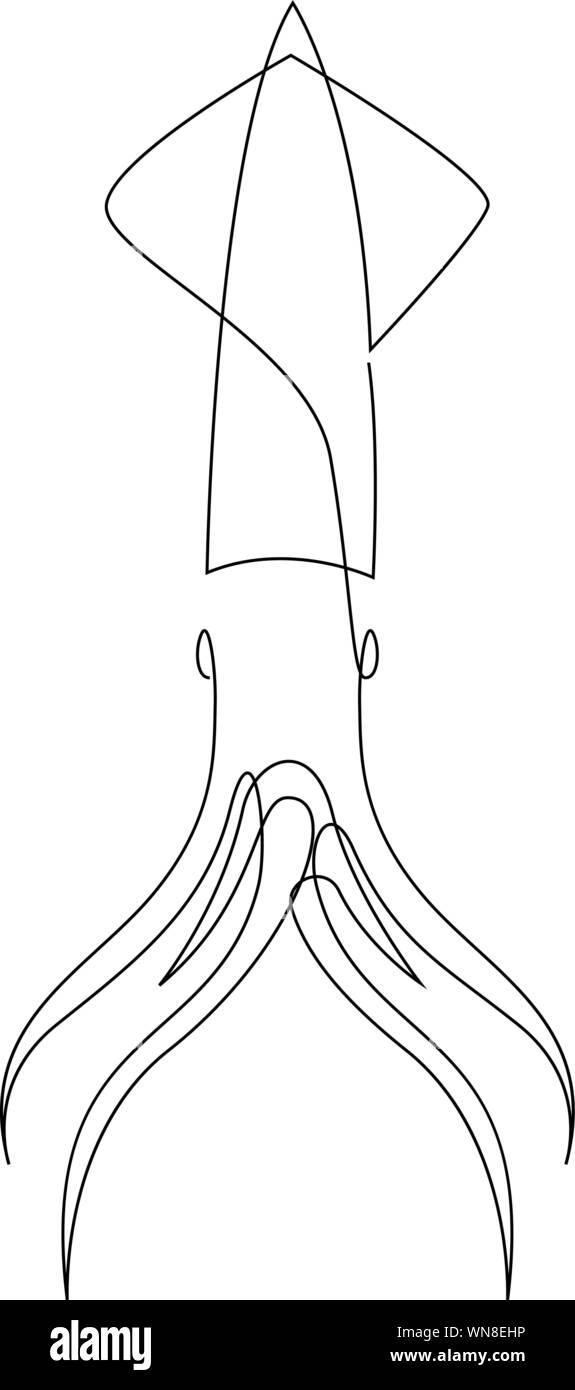 Una rappresentazione in linea continua di squid per logo di frutti di mare identità. Mare seppie mascotte concetto. Modern single line draw design illustrazione vettoriale Illustrazione Vettoriale
