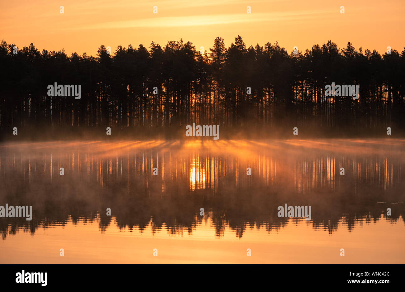 Majestic sunrise vista con la luce del sole e la nebbia a bella mattinata estiva nel Parco Nazionale, Finlandia Foto Stock