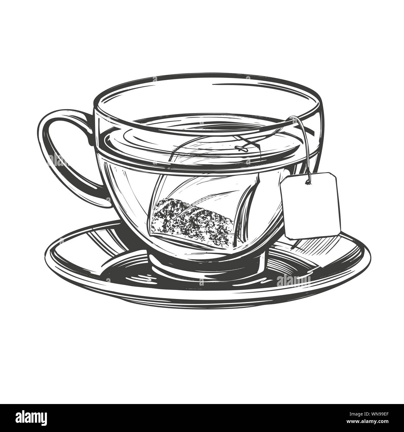 Tazza di tè con infuso di tè sacca isolata su sfondo bianco disegnati a  mano illustrazione vettoriale disegno realistico Immagine e Vettoriale -  Alamy