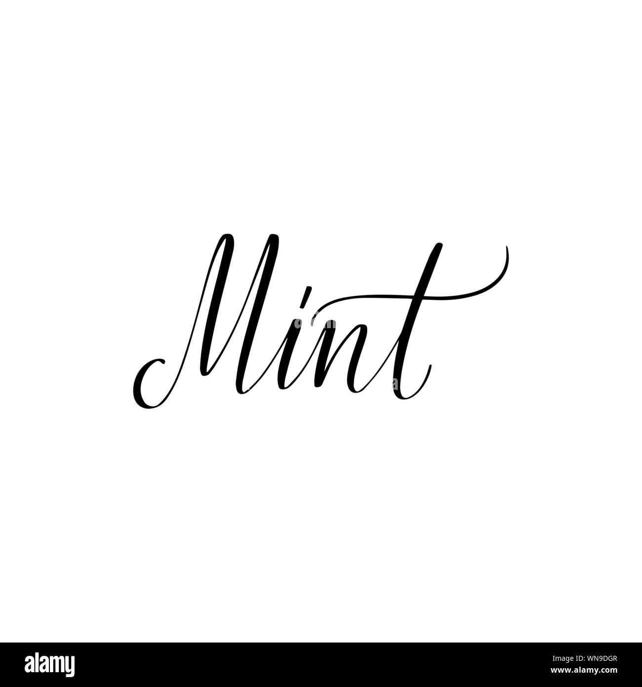 Ispiratore della spazzola manoscritta scritte . Vettore illustrazione di calligrafia Illustrazione Vettoriale