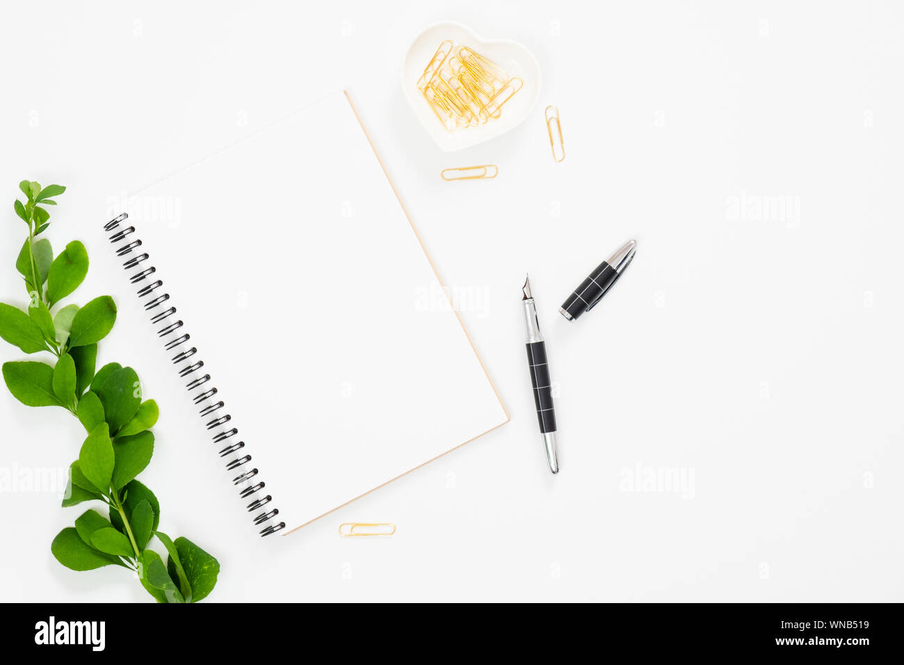 Piatto woamn laici scrivania con accessori femminili e il ramo di Crespino con foglie verdi. Vista dall'alto blocco di carta, cancelleria, impianti e roba femmina. Essere Foto Stock