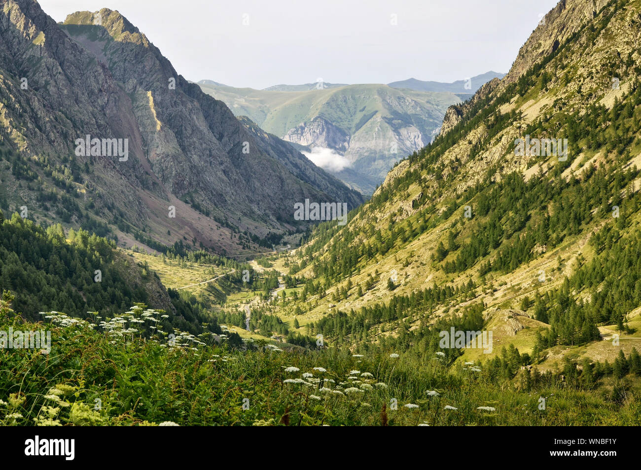 Vista mozzafiato di una valle tra le montagne. A sant'Anna di Vinadio, Piemonte, Italia. Intatto e natura selvaggia, Foto Stock