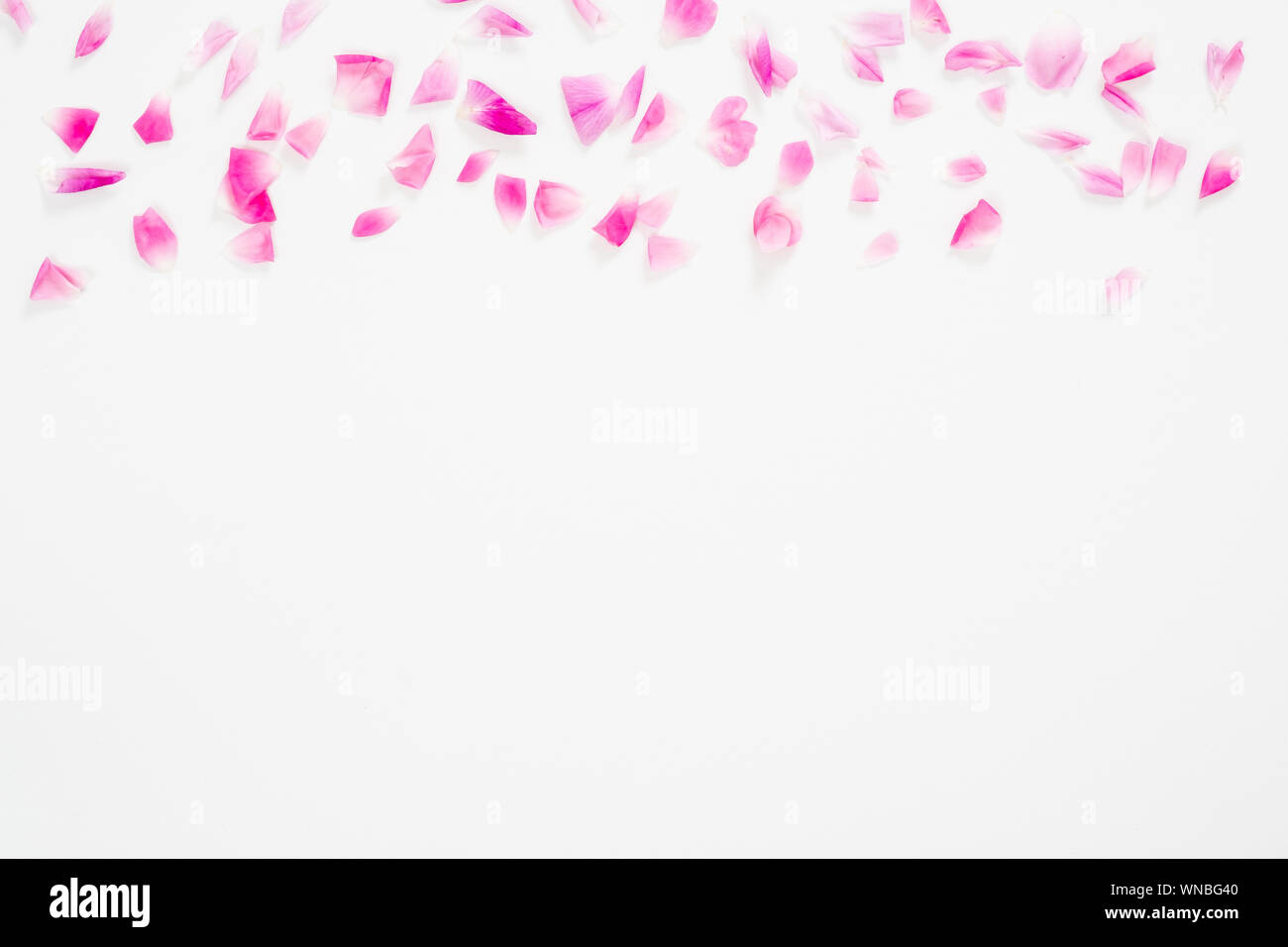 Abstract, anniversario, sfondo, bellezza, blog, fioritura, blossom, Bud, scheda, celebrazione, ciliegia, concetto, arredamento, decorazione, design, elegante, falli Foto Stock