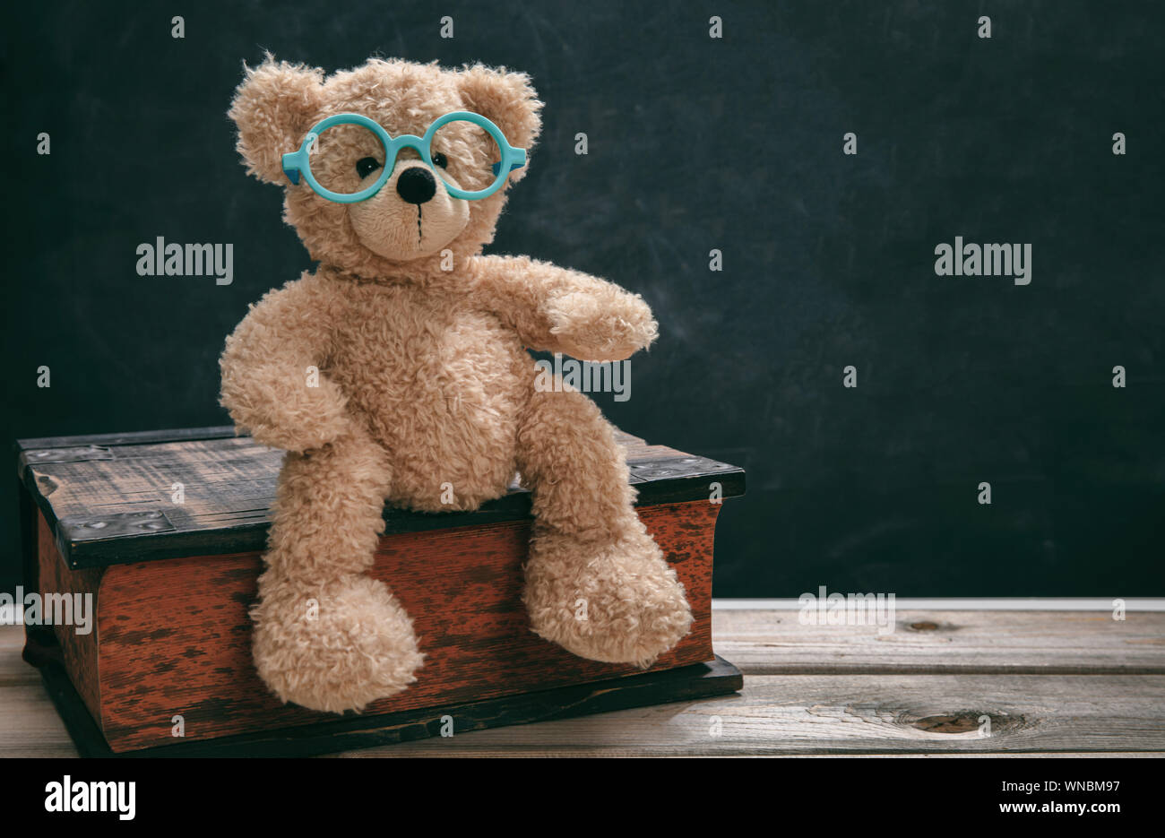Si torna a scuola, del concetto di conoscenza. Smart kid, grazioso orsacchiotto indossando occhiali seduto su un grande libro in classe contro la lavagna, copia dello spazio. Foto Stock