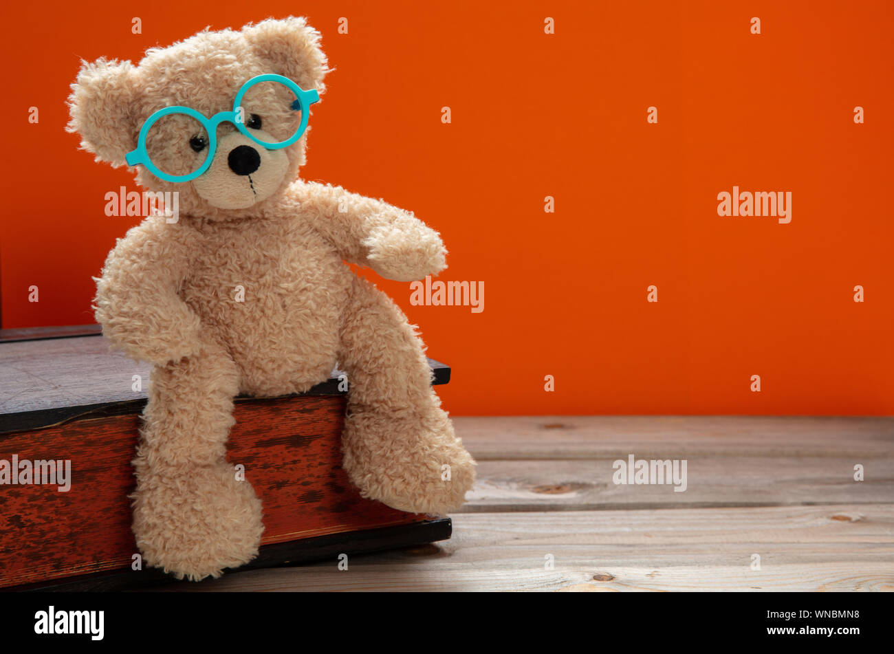 Si torna a scuola, la conoscenza. Smart kid, grazioso orsacchiotto indossando occhiali seduto su un grande libro contro orange Colore di sfondo, copia dello spazio. Foto Stock