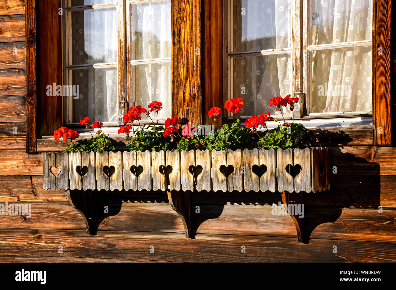 Tipico rosso fiori di geranio nelle finestre di alpini tradizionali chalet di legno. Bavarian capanna in legno. Decorazioni floreali. Tradizione, stile. Bavaria e Austria, Alpi Svizzere. Foto Stock