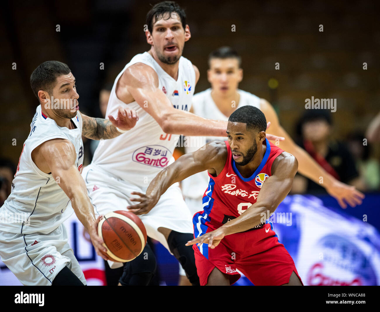 (190906) -- WUHAN, Sett. 6, 2019 (Xinhua) -- Gary Browne (R) di Puerto Rico passa la palla durante il gruppo J match tra Serbia e Puerto Rico al 2019 FIBA World Cup a Wuhan, capitale della Cina centrale della provincia di Hubei, Sett. 6, 2019. (Xinhua/Xiao Yijiu) Foto Stock