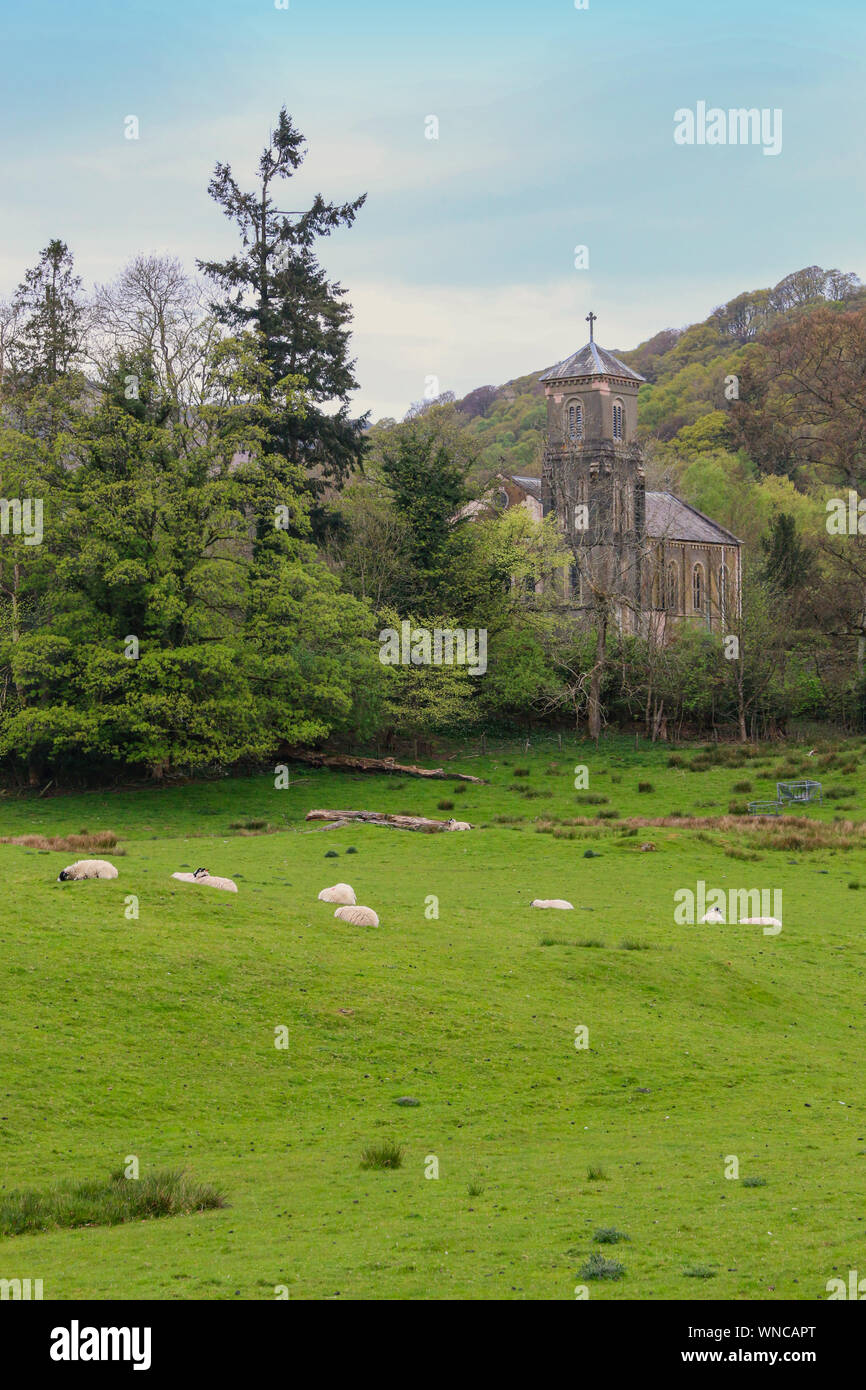 Bella vista della chiesa della Santa Trinità, Brathay, vicino a Ambleside, Cumbria, con pecore al pascolo nel campo in primo piano, Regno Unito Foto Stock