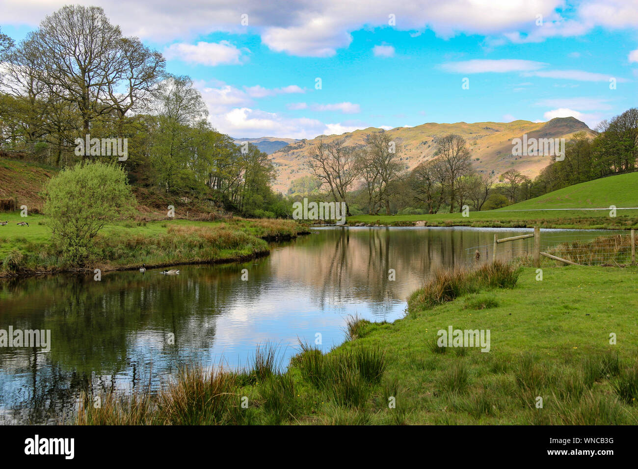 Splendida vista del mountainsm a Langdale Pikes, oltre Elter acqua, vicino a Ambleside, Cumbria, Regno Unito Foto Stock