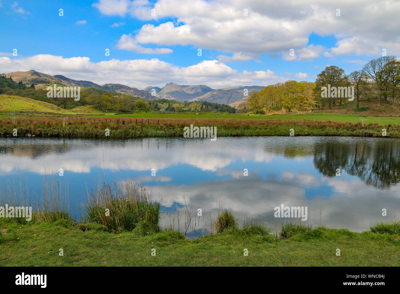 Splendida vista del mountainsm a Langdale Pikes, oltre Elter acqua, vicino a Ambleside, Cumbria, Regno Unito Foto Stock