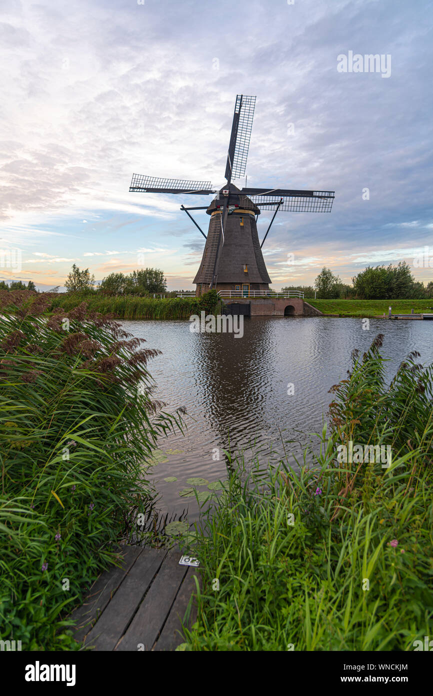 Mulino a vento olandese recante lungo il canale con erba selvatica soffiata dal vento forte all'inizio del momento al tramonto Foto Stock