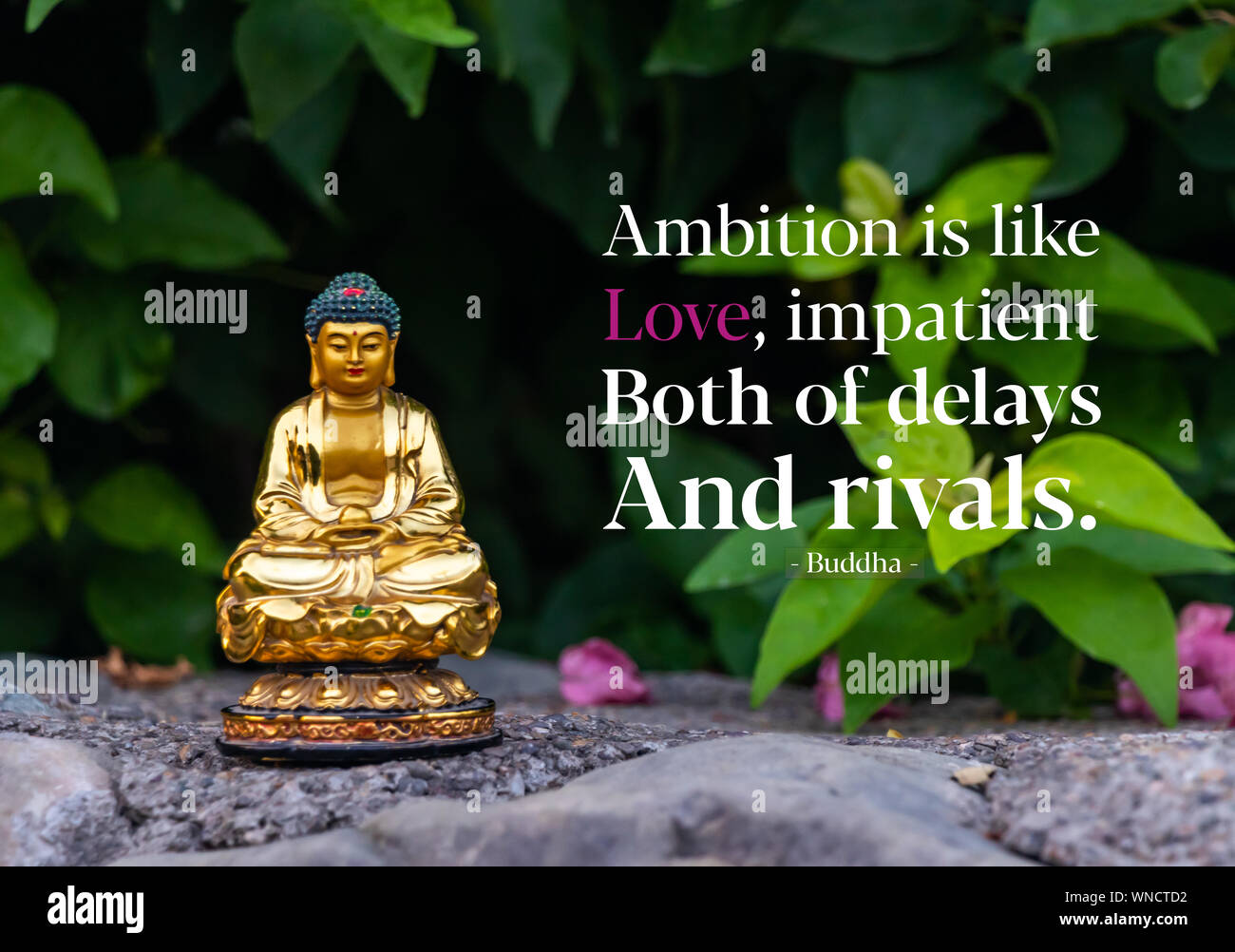 L'ambizione è come l'amore, sia impaziente di ritardi e rivali - buddha Foto Stock