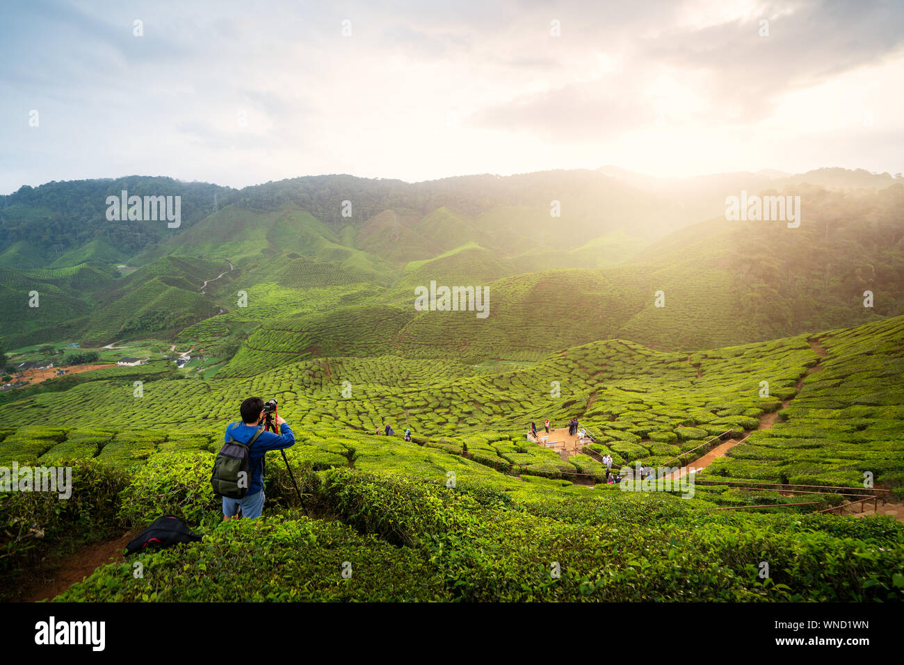 Giovane fotografo asiatico che viaggiano in campi di tè con nebbia. Giovane uomo traveler prendere una foto di montagna campo di tè, godendo di piantagioni di tè in camer Foto Stock